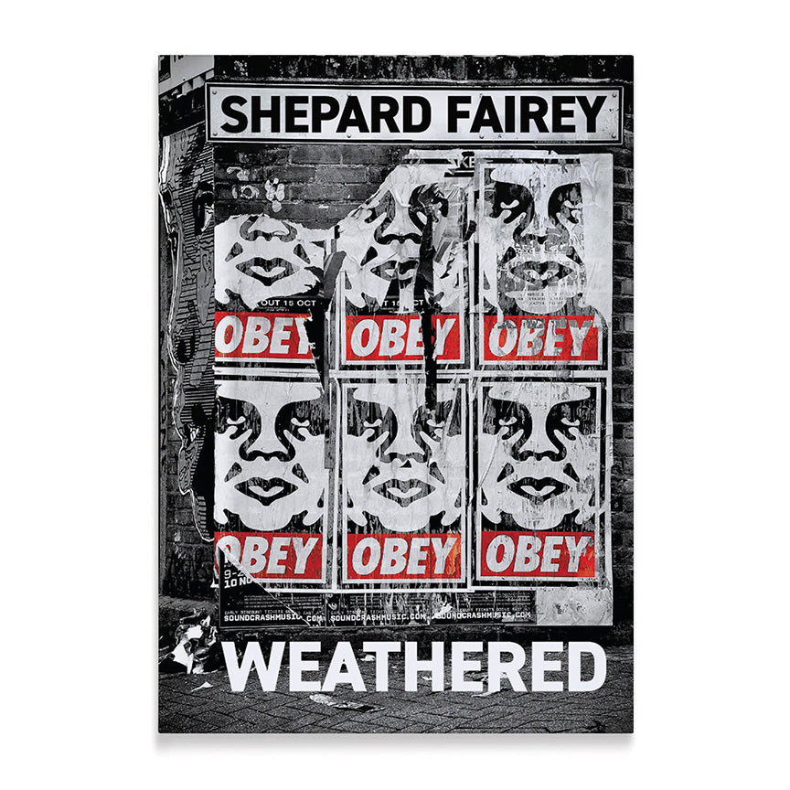 希少 black flag Shepard Fairey obey ポスター Shepard Fairey 