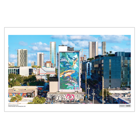 The Amazing Ske Poster