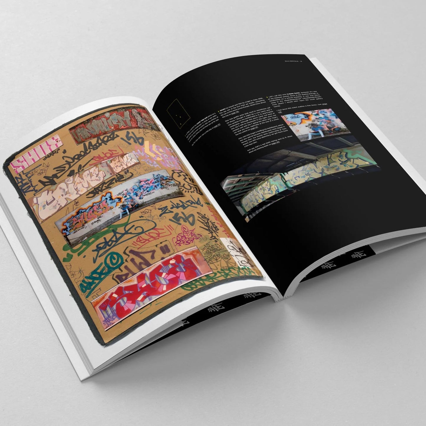 Shoe's Black Book - Graffiti in the 1980s by Niels Shoe Meulman REGULAR edition