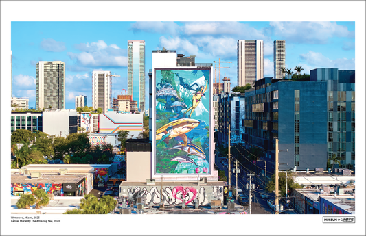 The Amazing Ske Poster