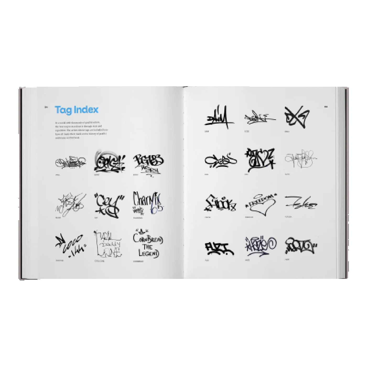 The Wide World of Graffiti - Signed Copyp