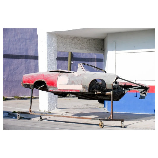 Tim Walker 'Auto Body' Print