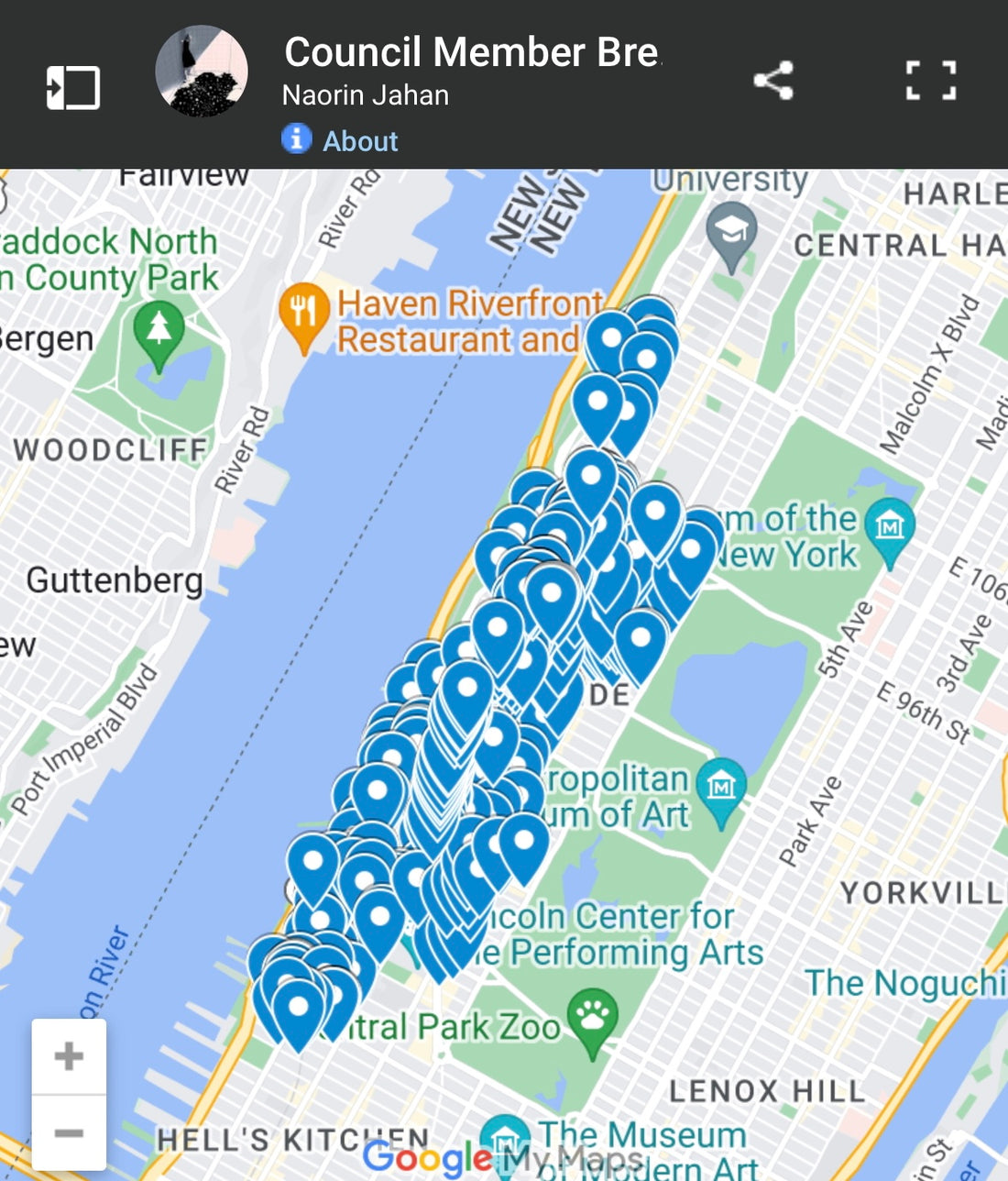 NYC Councilmember's Interactive Graffiti Map