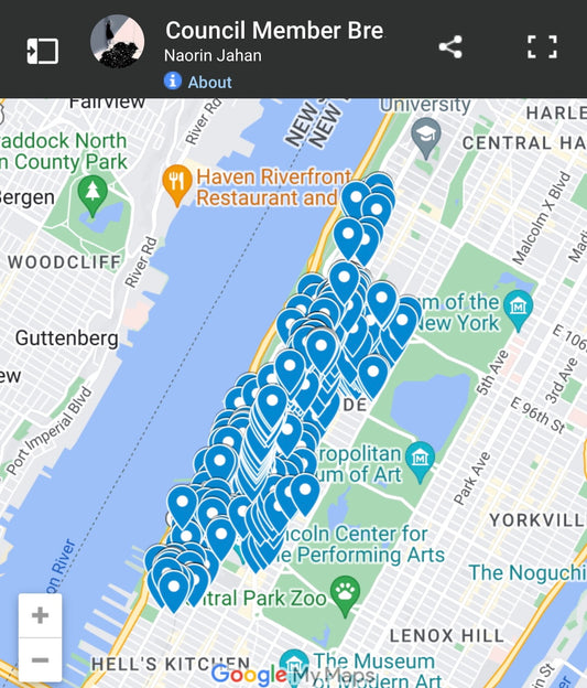 NYC Councilmember's Interactive Graffiti Map
