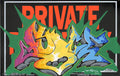 Part One Original Painted Aluminum Sheets - Part One, 7 of 12, 14 x 9"