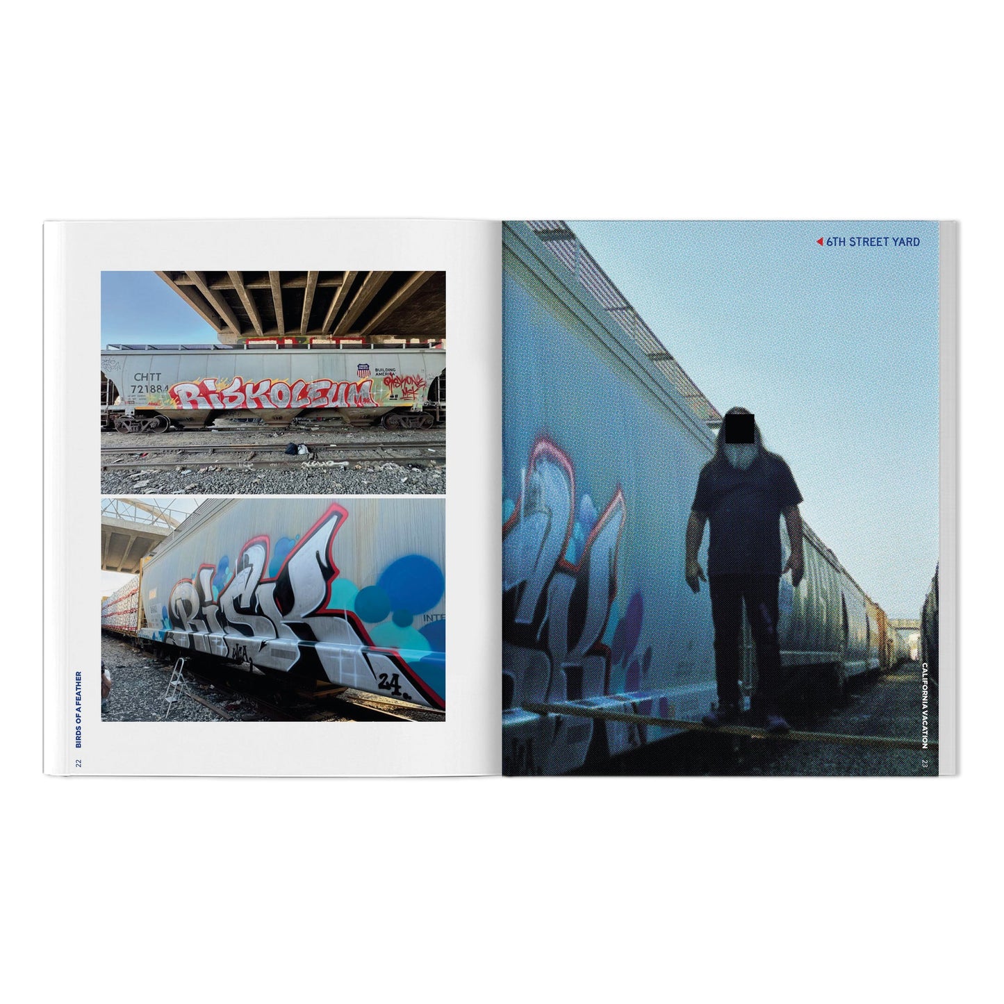 RISK, VAYNE & Friends "Birds Of A Feather: California Vacation"