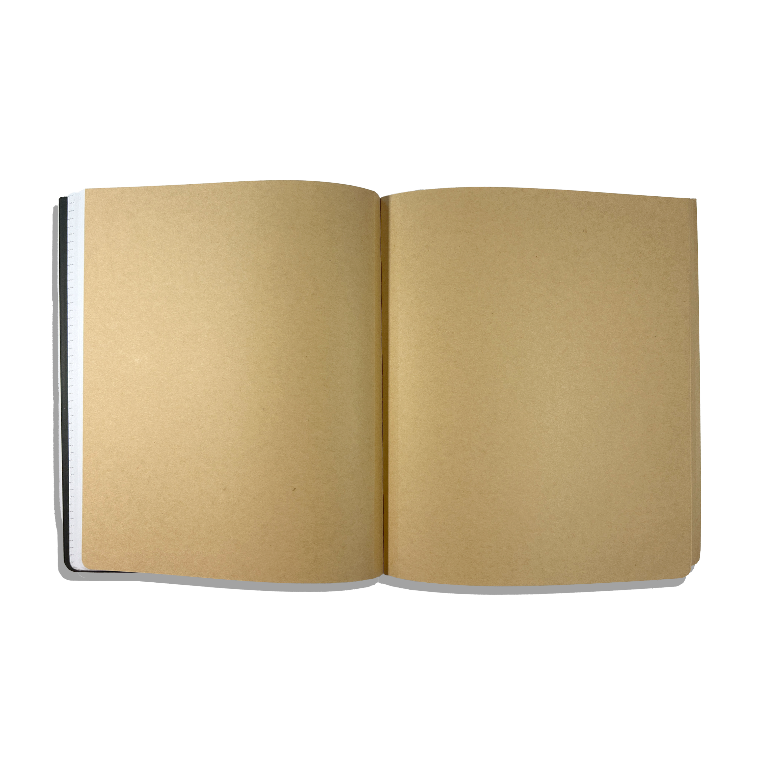 The Paper Works: Sketchbook