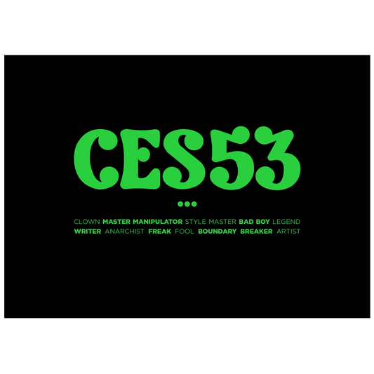 Ces53 Urban Media Book