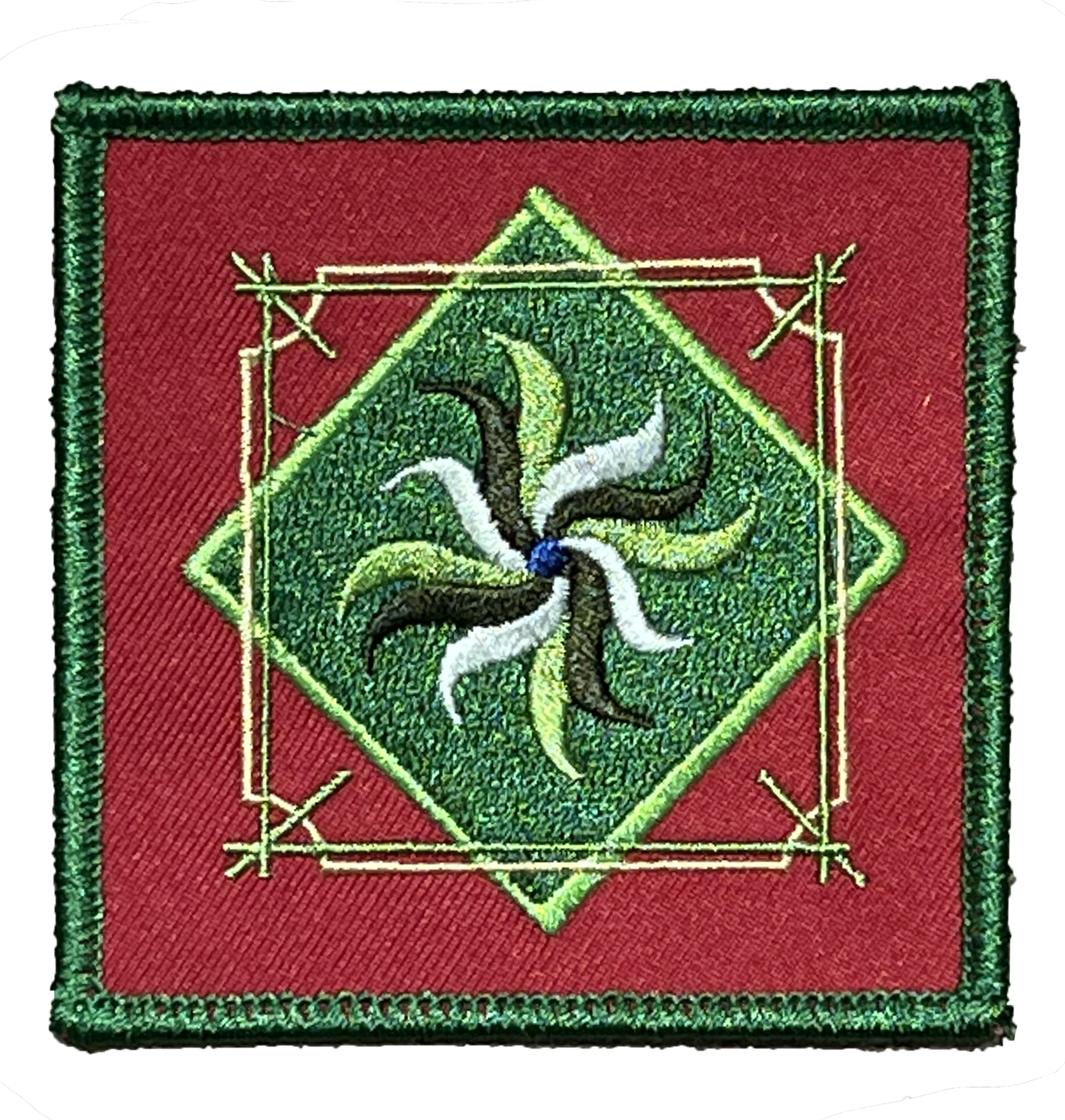NEVS Patch