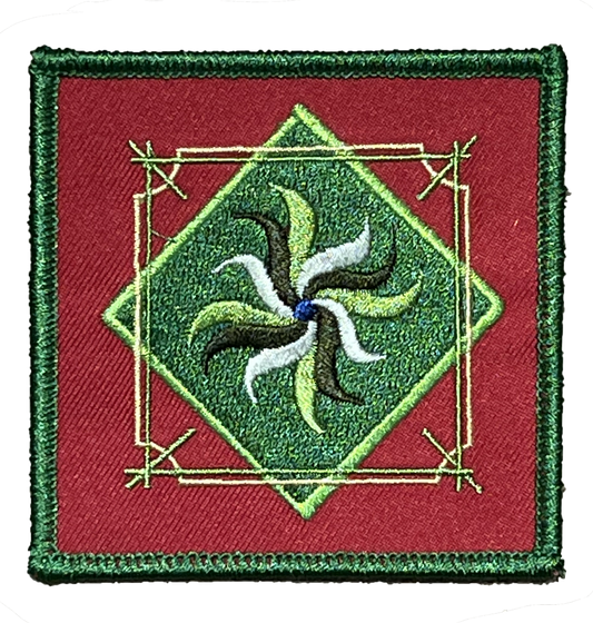 NEVS Patch